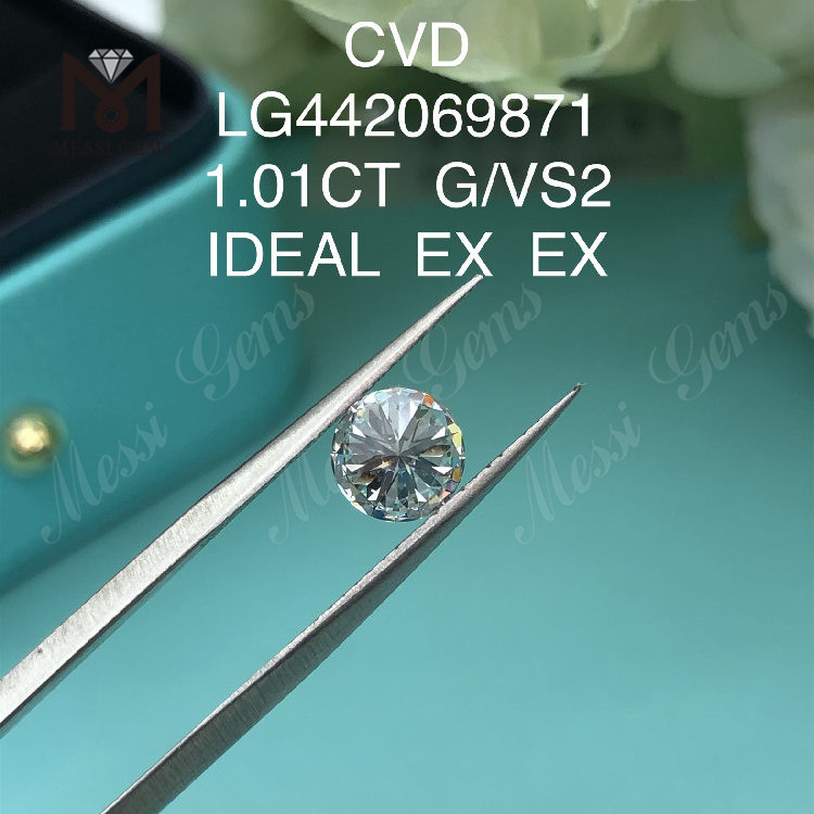 1,01 karat G VS2 runde BRILLIANT IDEAL laboratorieskabte diamanter
