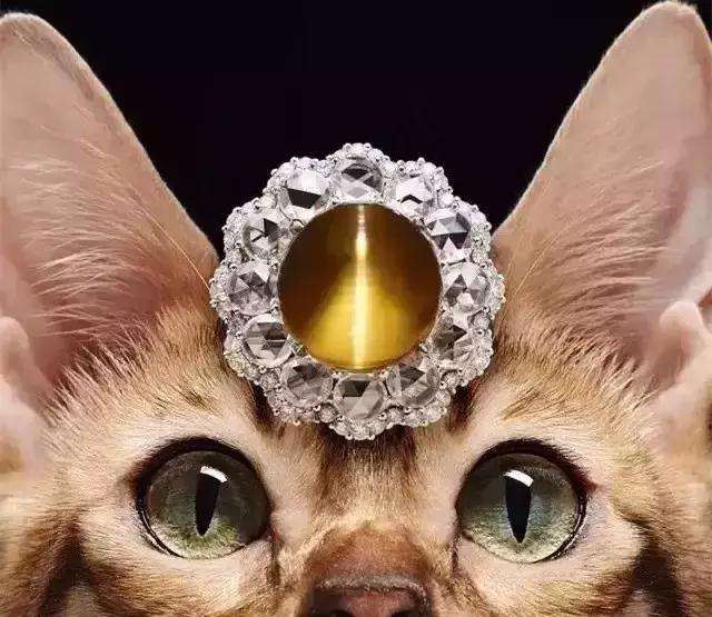 cat eye asterisme