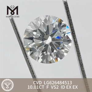 10.01CT F VS2 ID RD igi certificerede diamanter til salg CVD LG626484513丨Messigems