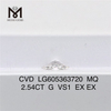 2.54CT G VS1 MQ igi cert diamant CVD Onsale LG605363720丨Messigems 