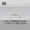 11.12CT EM Grown Brilliance G VVS2 CVD diamant LG608380119丨Messigems \t