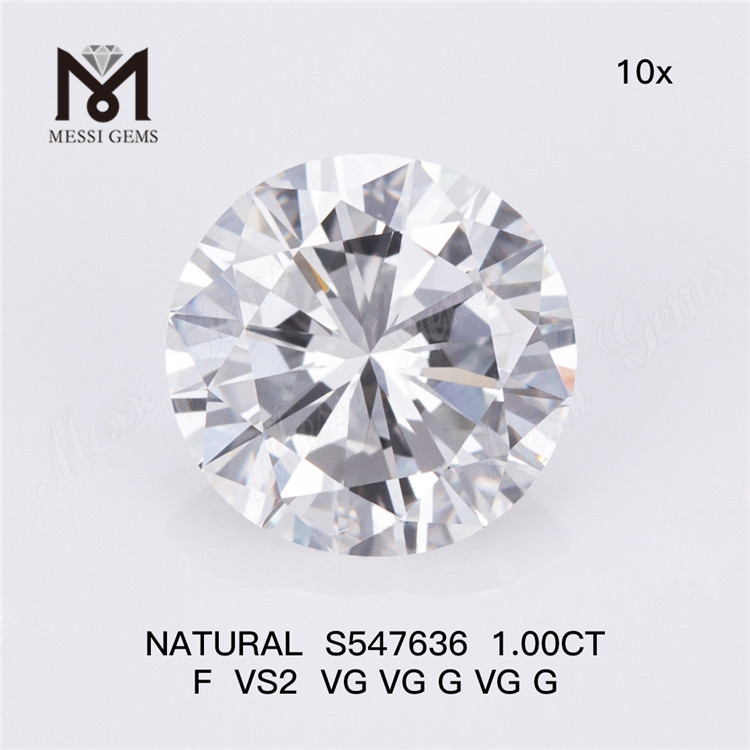 1.00CT F VS2 Autentiske naturlige diamanter Elegance når det er bedst S547636丨Messigems
